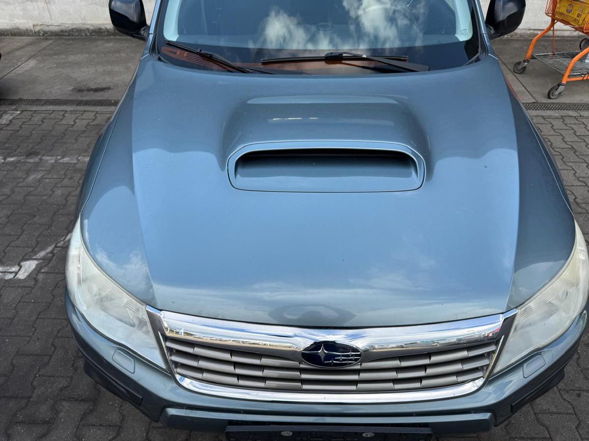 Subaru Forester SH original Motorhaube C1F Sage Green Metallic BJ10 Subaru Forester SH original Motorhaube C1F Sage Green Metallic BJ10